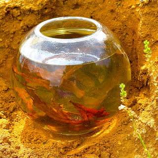 Seaweed Hair Conditioner, skin and scalp detox and mineralization, detox bath