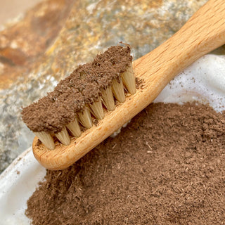 Toothbrush of Wood with Natural Boar Bristles