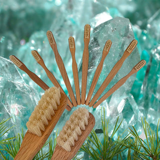 Toothbrush of Wood with Natural Boar Bristles