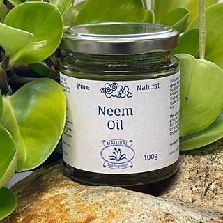 Neem Oil in Glass Jar