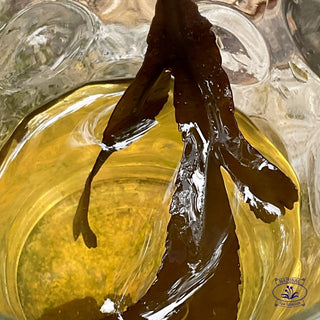 Seaweed Hair Conditioner, skin and scalp detox and mineralization, detox bath
