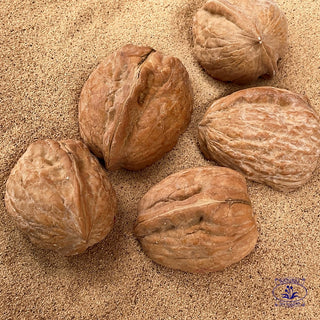 Walnut Shell Powder Natural Exfoliant Cosmetic Ingredient