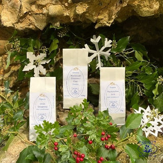 natural hair care kit with ivy and snowflakes