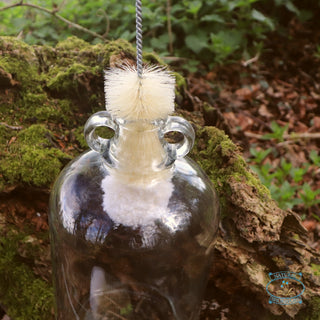 demijohn bottle brush in demijohn