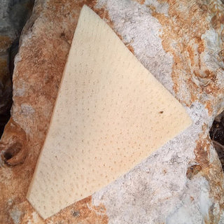 Natural Sea Sponges for Cleaning