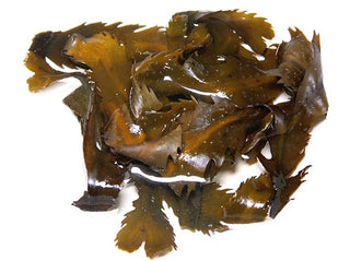 Hydrated fucus serratus