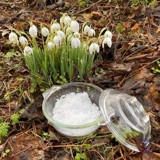 zechstein magnesium flakes with snowdrops