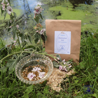 marshamllow portrait with packaging, dried root and liquid with flowers by the river