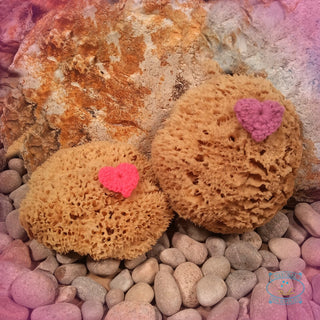 Bath & Shower Natural Sea Sponges