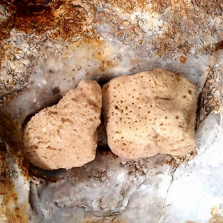 Face Care Natural Sea Sponges