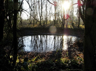 Winter walks are great but protect the nose and lips with lip balm and take some tissues or hankerchiefs!