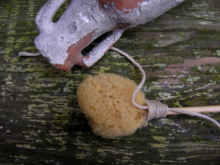 Make a Sponge on Stick (Spongia)