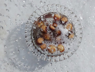 Soapnuts - just add water