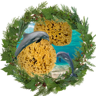 Natural Sea Sponge Gift Set – Pair of Honeycomb Bath Sponges