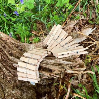 Wooden Clothes Pegs, 20 x Large Beech Pegs