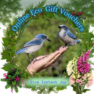 Natural Spa Supplies Gift Card