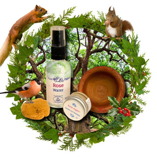 Natural Lip Care Kit with Botanical Lip Tint