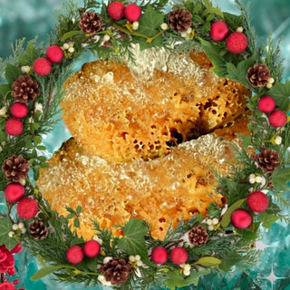 A Pair of Large Bath Sponges Eco Gift