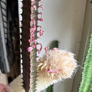 Bottle Brush for Baby Bottles, Milk Bottles, Thermos and Water Bottles