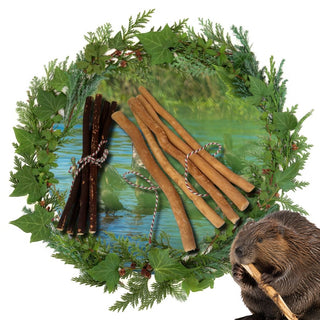 Miswak & Olive Toothbrush Sticks Christmas Gift Set – 10 Sticks