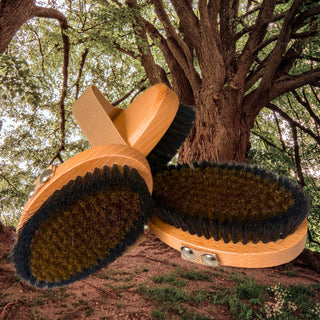 Ionic Dry Brush for Body or Face of Bronze and Horse hair / monastery brush, large and or small