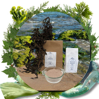 Rhassoul Clay & Seaweed Hair Wash and Conditioner Set