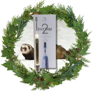 Soladey Rhythm 2 Sonic Ionic Toothbrush
