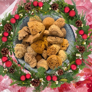 Wonky Sea Sponges, Sponge Seconds, Artist Sponges