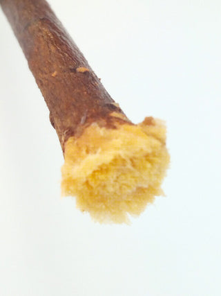 Olive Stick with Soft Bristles