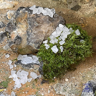 alum pebbles on moss and rocks
