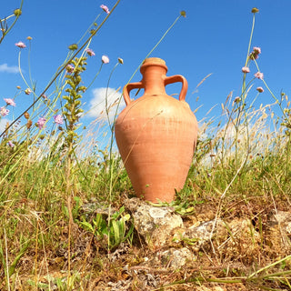 amphora on a roman wall at caister
