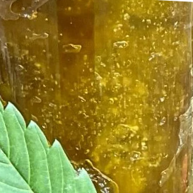 close up hemp soap with wild hemp leaves