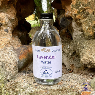 lavender water on rocks with trees behind