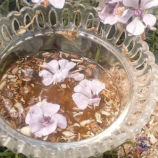 marshmallow close up with root and flowers in a glass bowl with logo