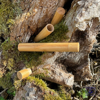 three bamboo toothbrush holders on mossy log