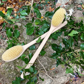 two bath brushes with ivy